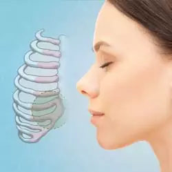 Enhance Your Profile with Rib Cartilage Rhinoplasty: A Natural Approach to Nose Reshaping